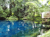 Blue Holes