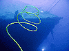 Coolidge bow