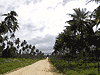 Santo roads