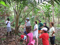 Port Olry, island experience 