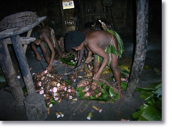 Marakai woman came back from their garden full of Taro