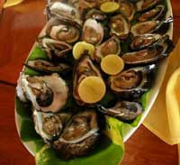 oyster island restaurant
