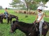 Horse Riding