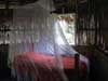 wongrass bungalow